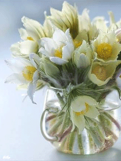 �����-2 15_75707.gif