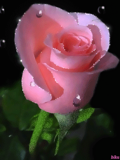 �����-2 16_df4a9.gif