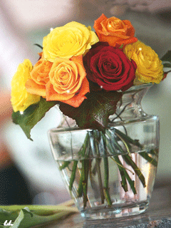 �����-2 18_dec8a.gif