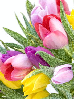 �����-2 22_7823f.gif