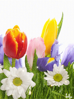 �����-2 23_de893.gif