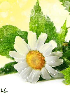 �����-3 25_b675a.gif