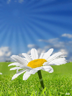 �����-3 26_09a60.gif