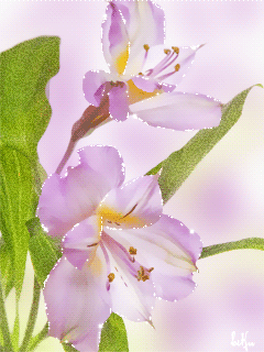 �����-3 32_1ae3d.gif