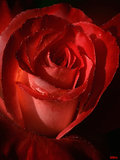 �����-3 33_ca42f.gif