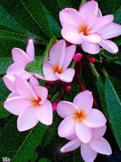 �����-3 38_13bc4.gif