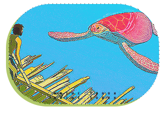 The-Red-Turtle-1.jpg