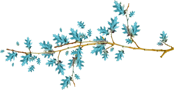 ��������� ورد-1