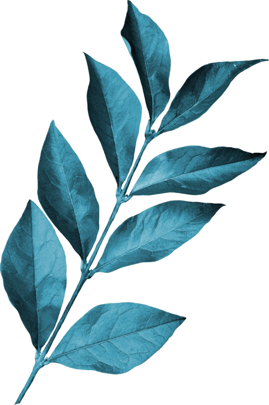 ��������� ورق.p